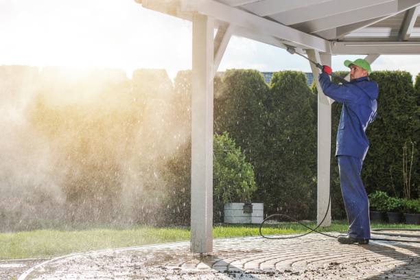 Best Soft Washing  in Cincinnati, OH
